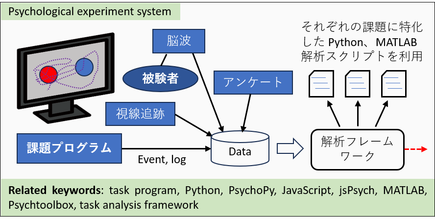 [Psychological experiment]